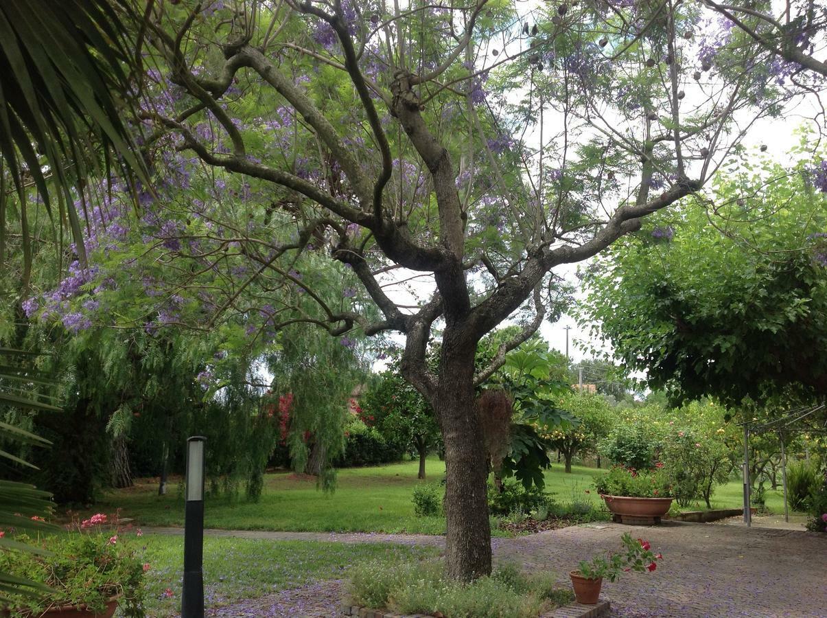 La Quercia Bed & Breakfast Altavilla Silentina Luaran gambar